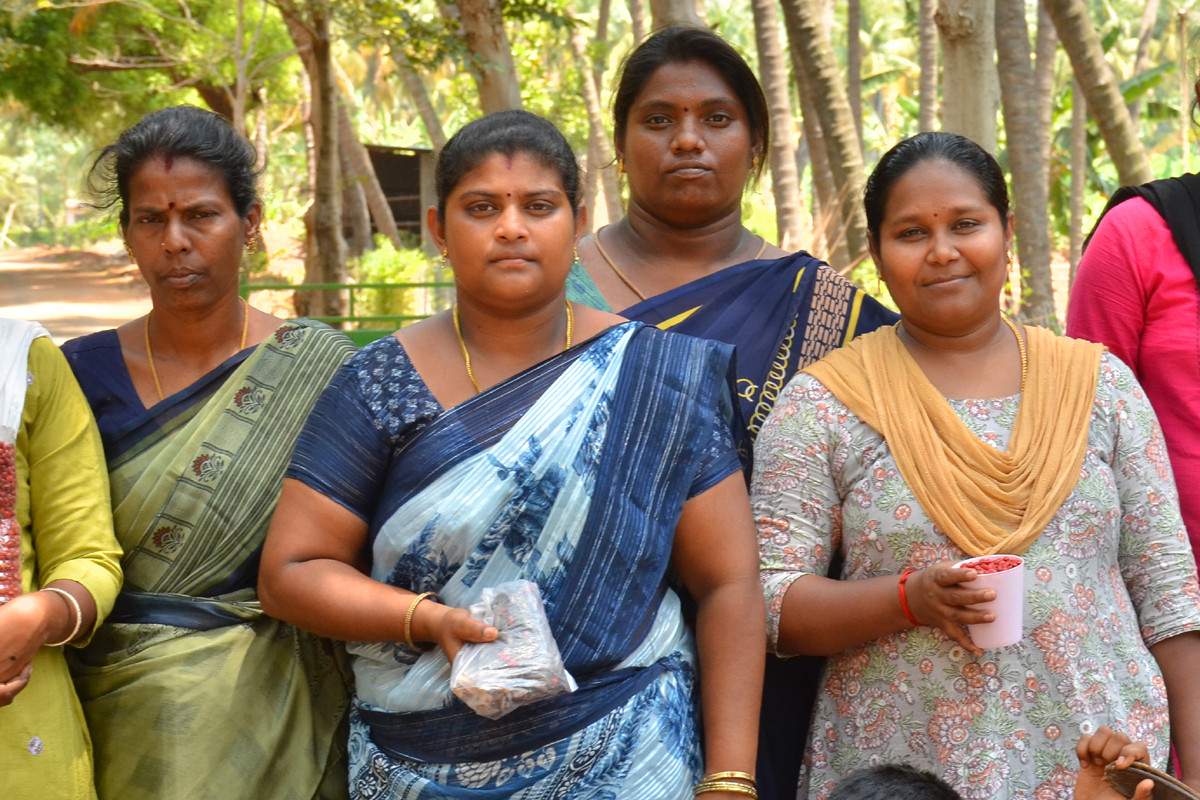 யானை குன்றிமணி விதைகள் மற்றும் மே பிளவர் விதைகள்