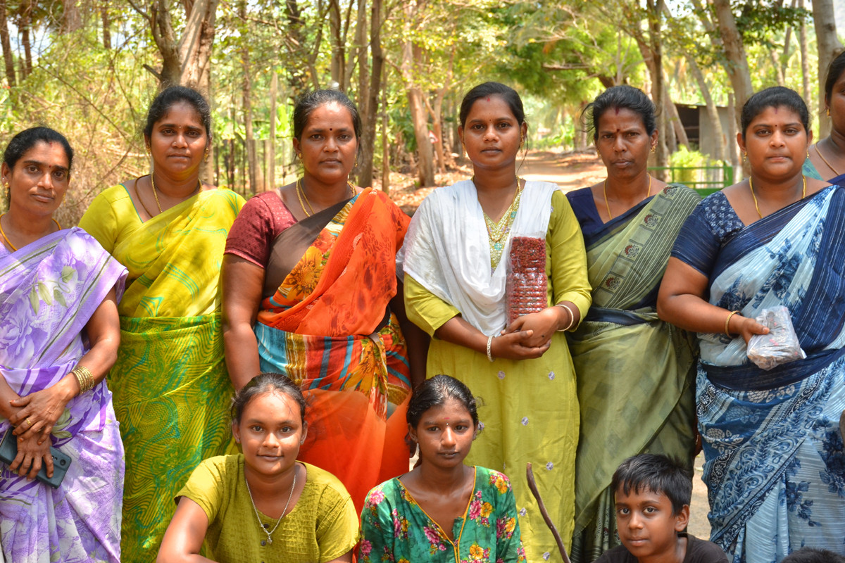 யானை குன்றிமணி விதைகள் மற்றும் மே பிளவர் விதைகள்